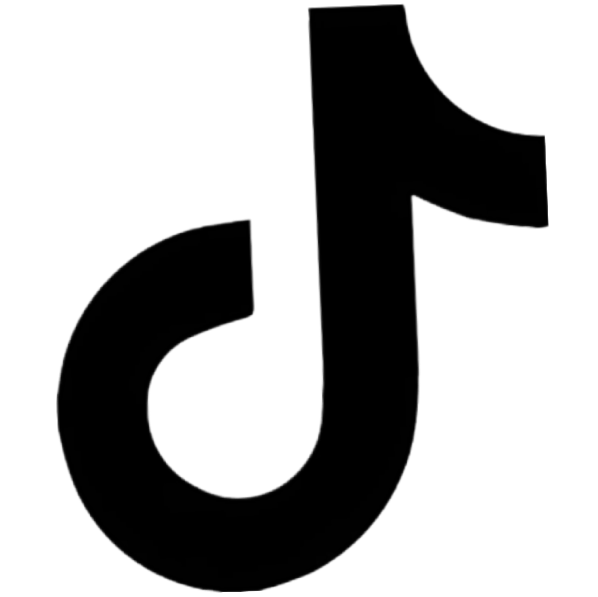 Tiktok / parra import inversiones 